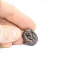 Miniature Bronze Hedgehog Sculpture