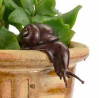 Bronze Over the Edge Snail Sculpture