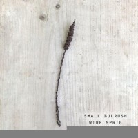 Small Bulrush Wire Sprig